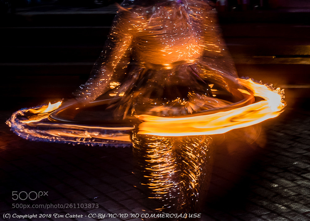 Nikon D750 sample photo. Sasha gaulin the fire photography