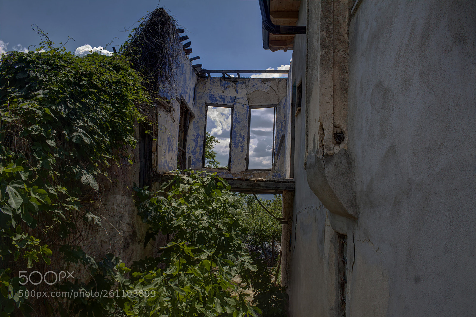 Canon EOS 50D sample photo. Room with view photography