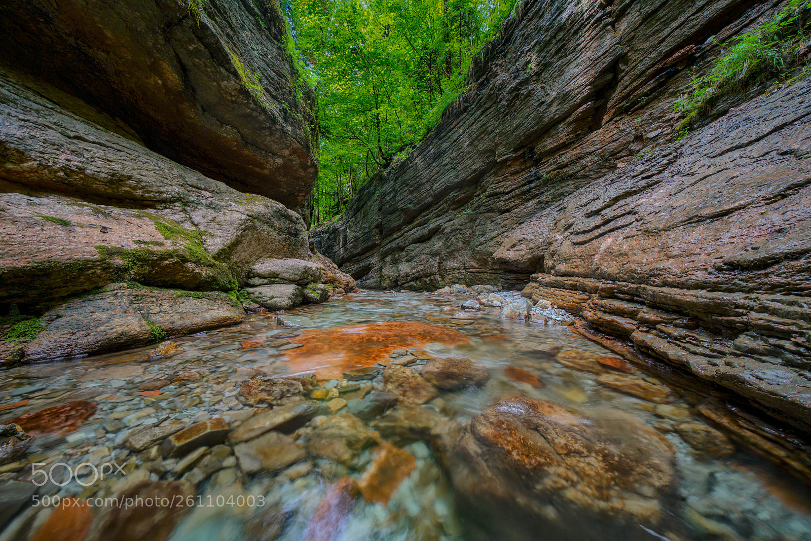 Sony a7R II sample photo. Tauglbach photography