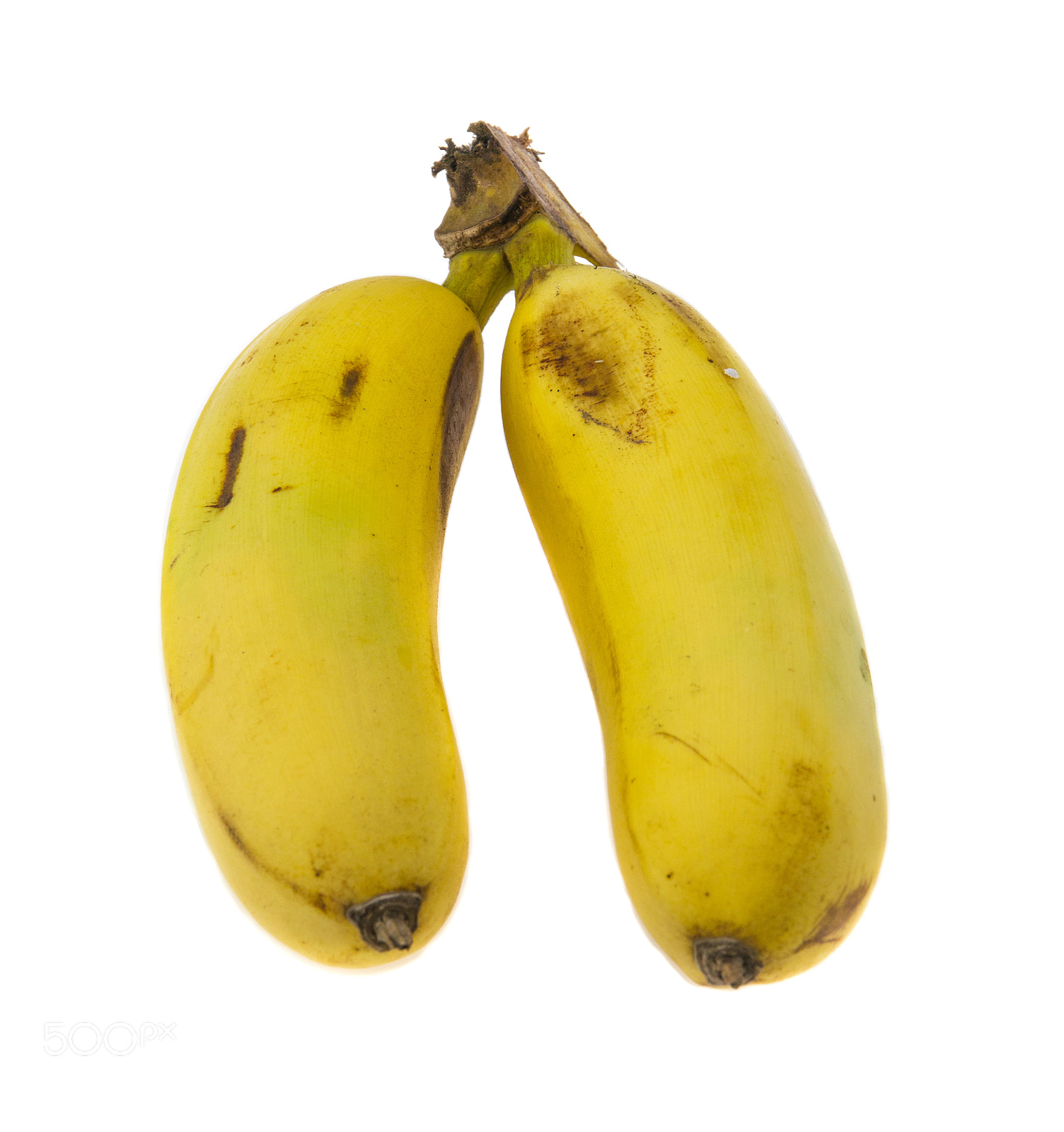 Canon EOS M sample photo. Bunch of two bananas isolated on white background photography