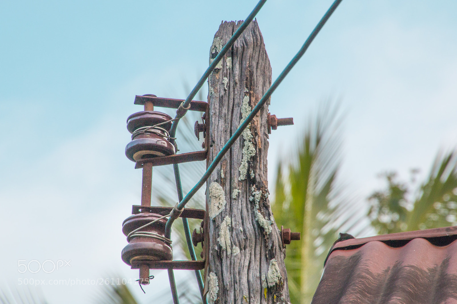 Canon EOS 70D sample photo. Top of the old photography