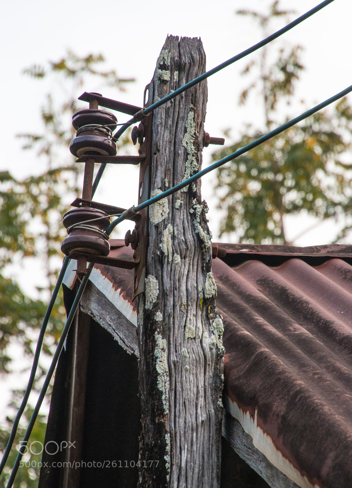 Canon EOS 70D sample photo. Top of the old photography