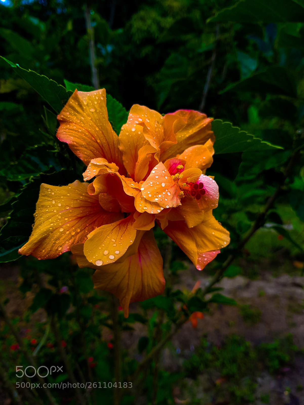 Samsung Galaxy S8+ sample photo. Calm after the storm photography