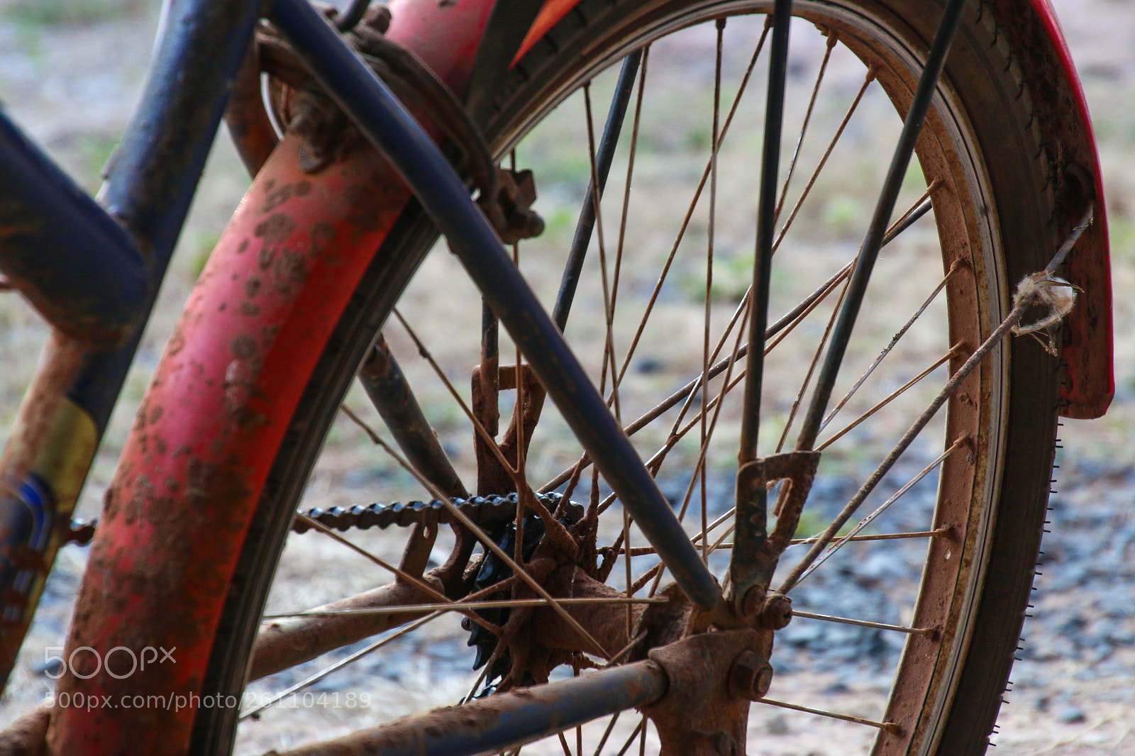 Canon EOS 70D sample photo. Old bike chain with photography