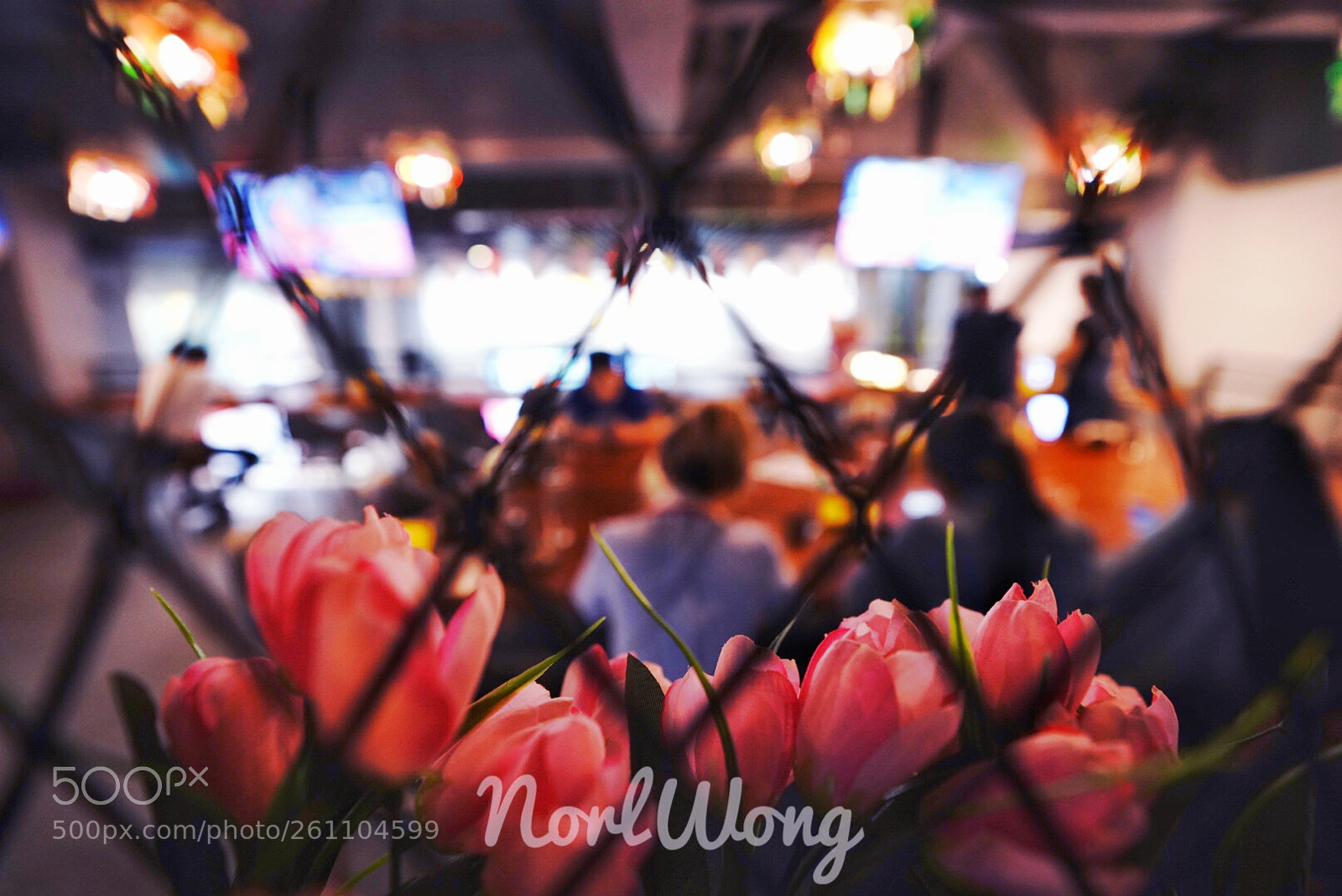 Sony a7R III sample photo. Untitled photography