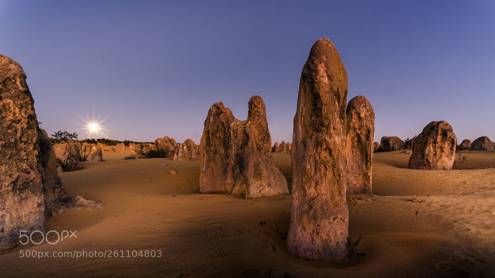 Nikon D810 sample photo. The pinnacles by moonlight photography