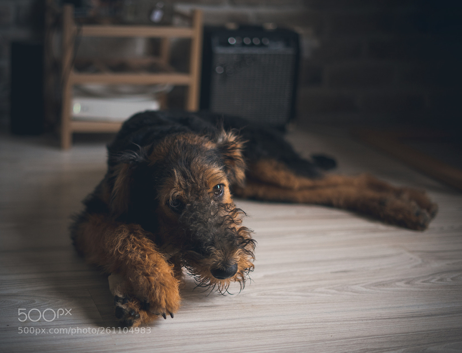 Sony a7 II sample photo. Mia photography