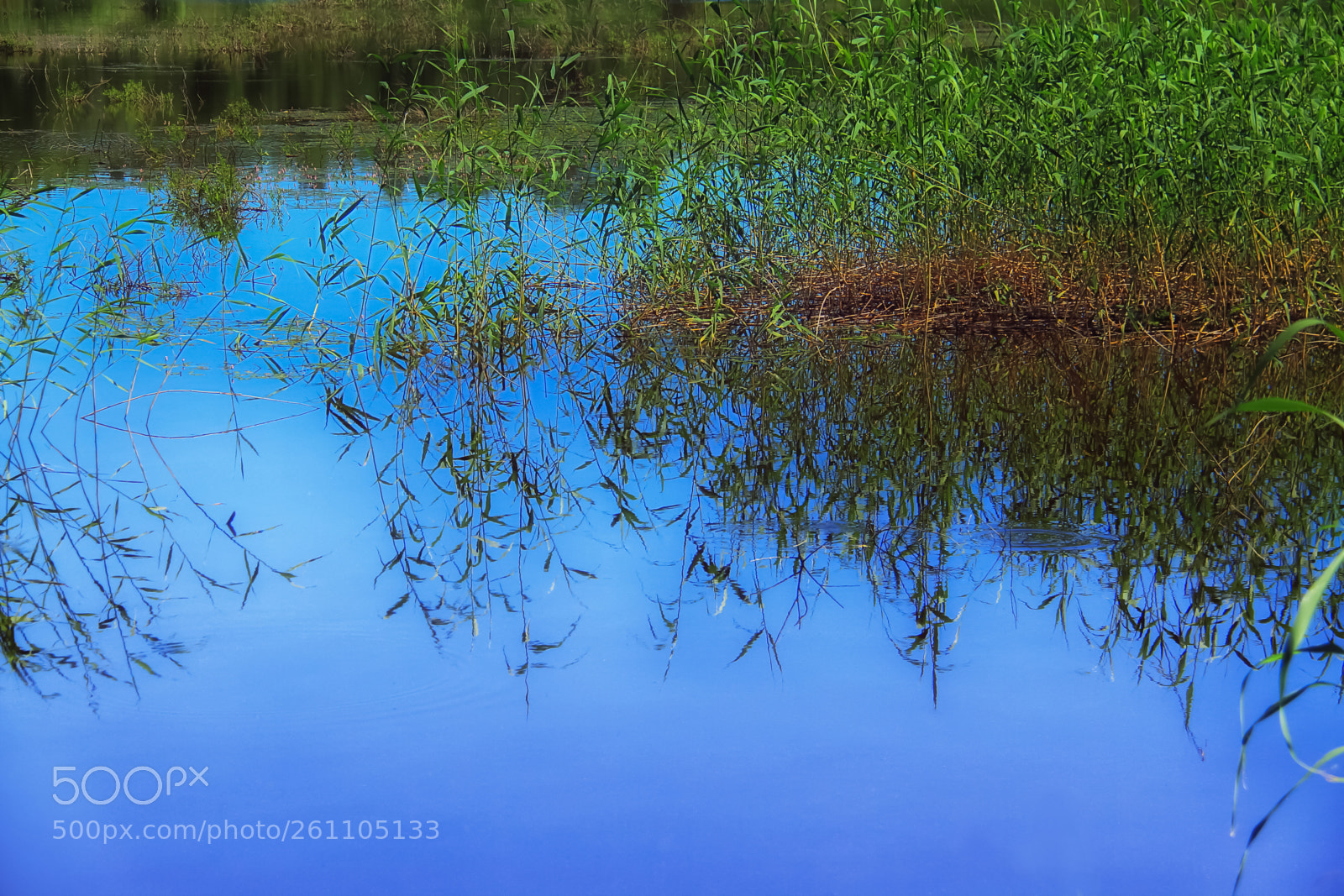Canon EOS 7D sample photo. Summer peace near the photography