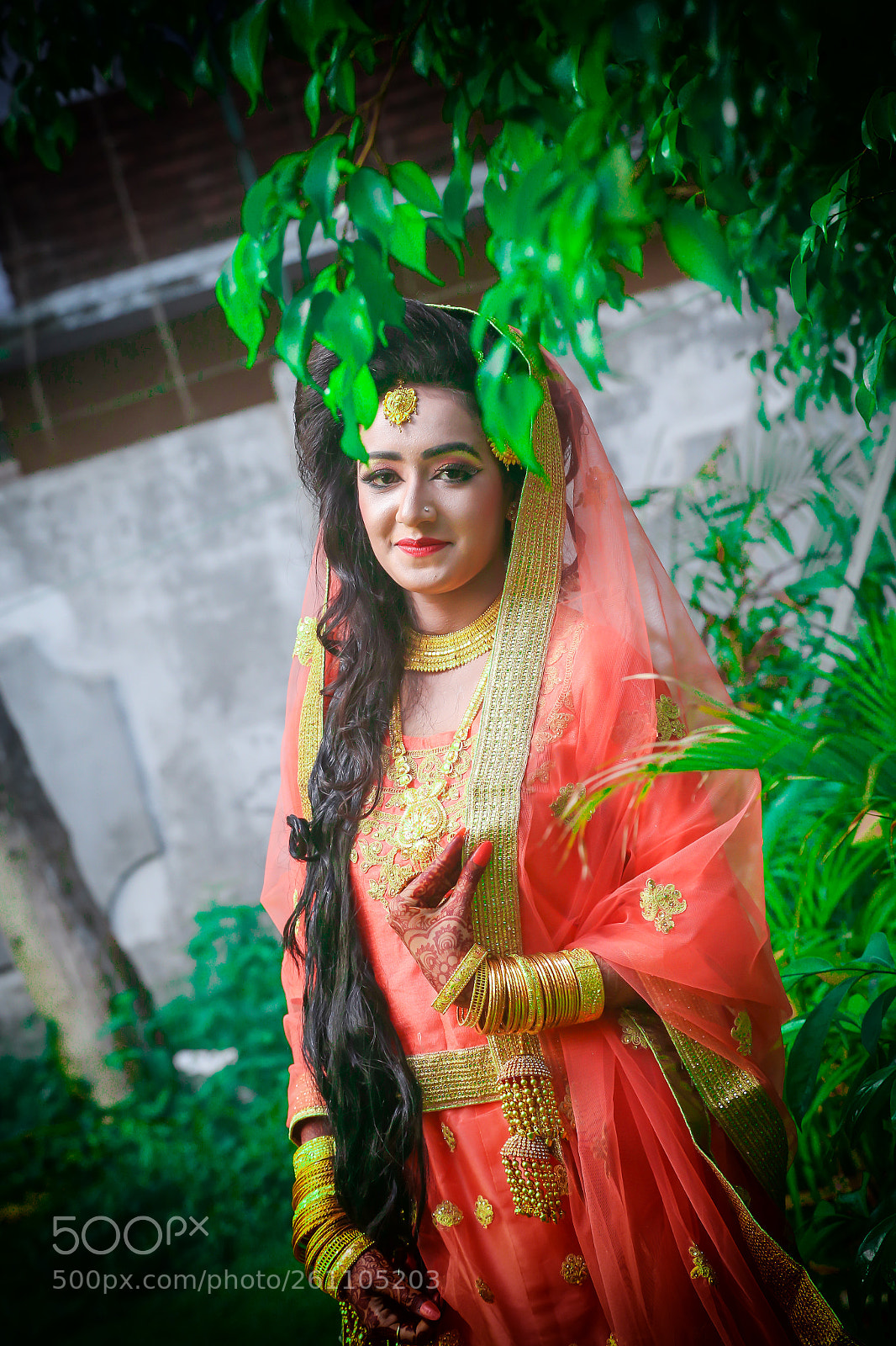 Canon EOS 6D sample photo. Img photography