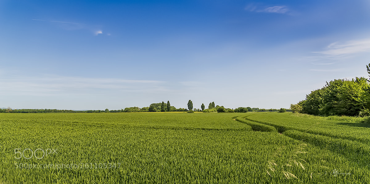 Sony ILCA-77M2 sample photo. Peace in the valley photography