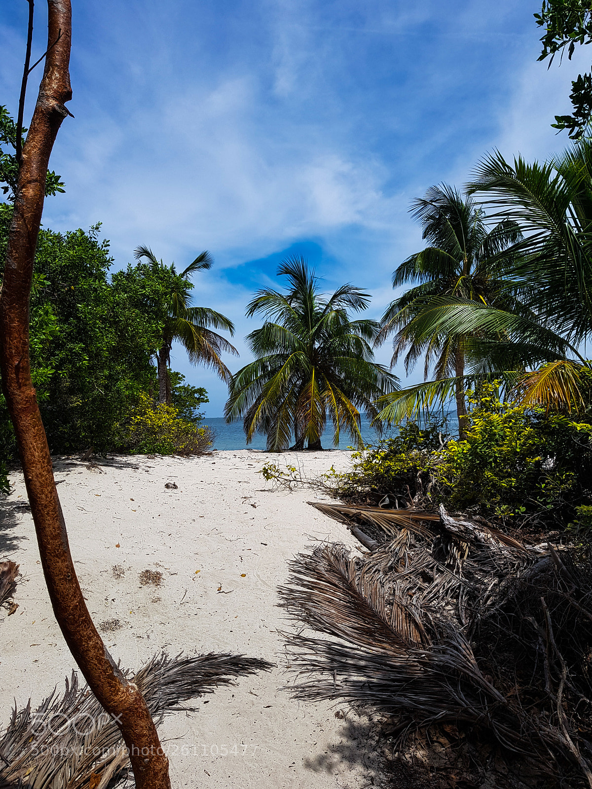 Samsung Galaxy S8+ sample photo. Palmtrees and sand photography