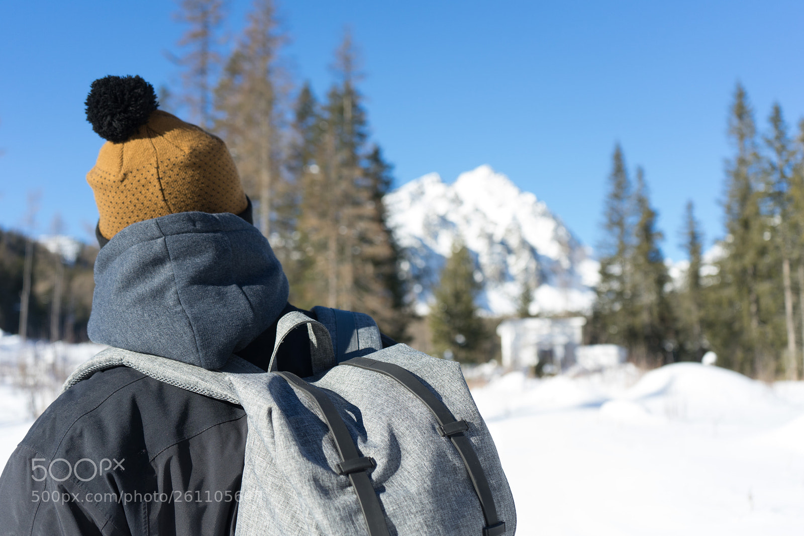 Sony a7 II sample photo. Dsc photography