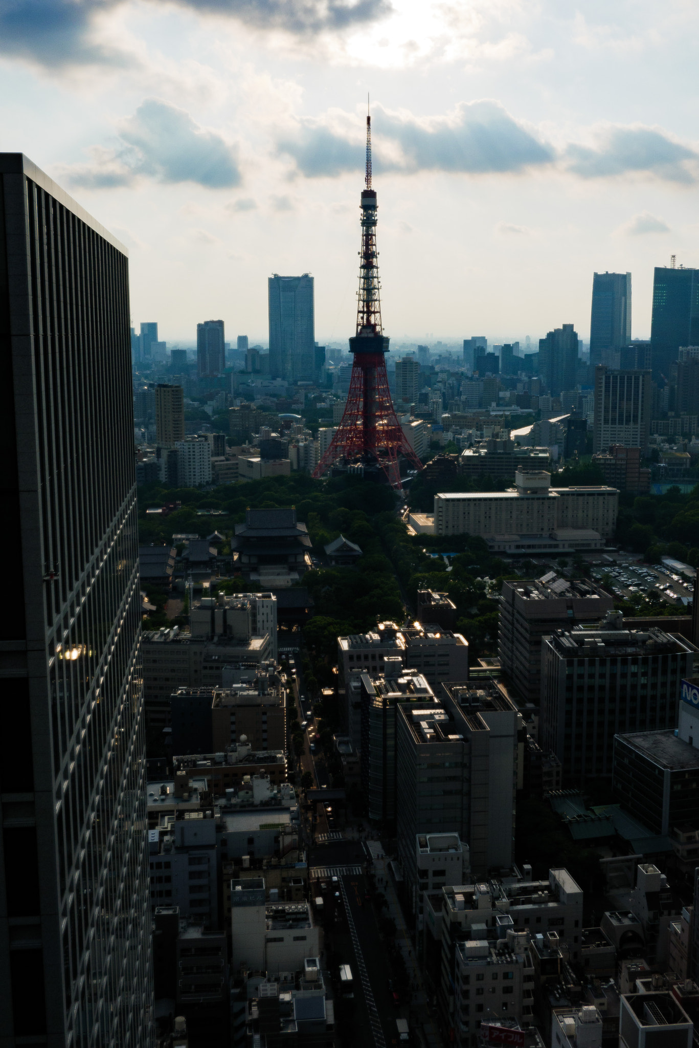 Panasonic DMC-G8 sample photo. Tokyo tower, daytime photography