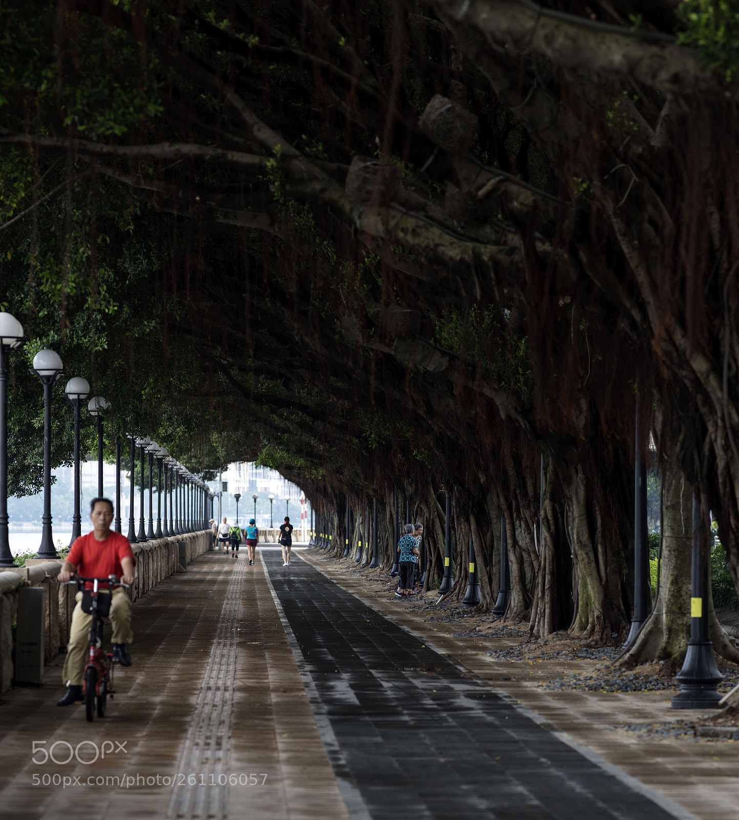 Canon EOS 5DS R sample photo. Road photography