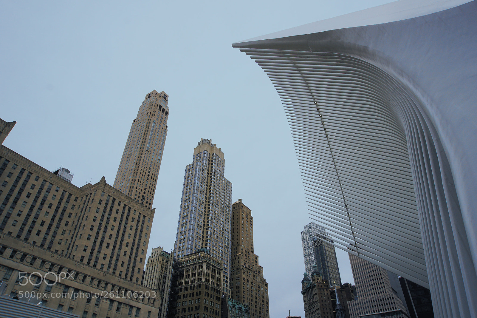 Sony a6000 sample photo. Path photography