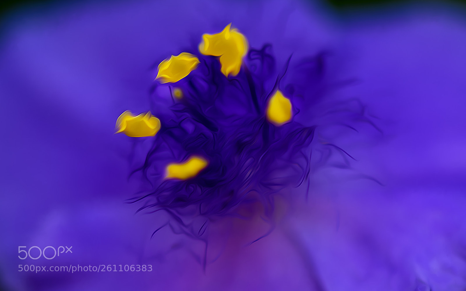 Nikon D750 sample photo. Flower photography