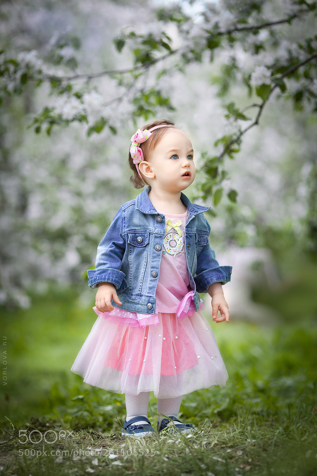 Canon EOS 5D Mark II sample photo. Mg photography