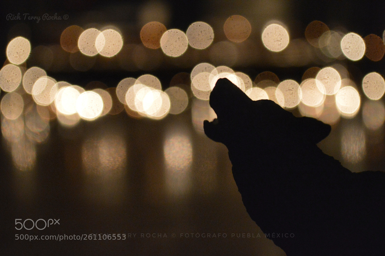 Nikon D3200 sample photo. Capturando momentos photography