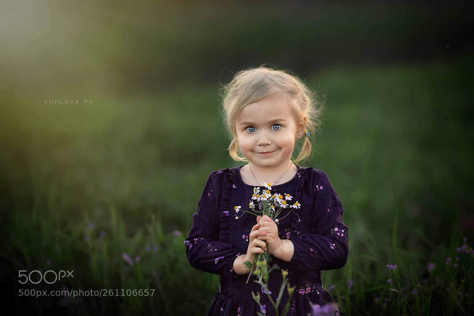 Canon EOS 5D Mark II sample photo. Mg photography