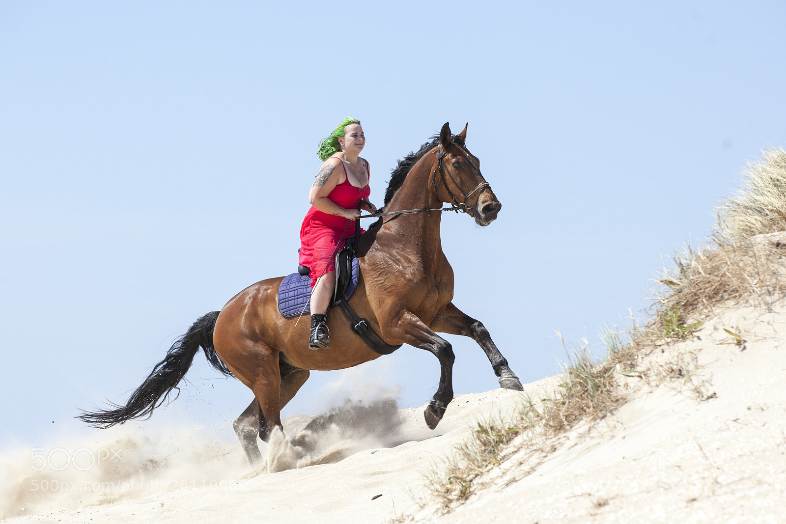 Canon EOS 5D Mark II sample photo. Wild and free photography