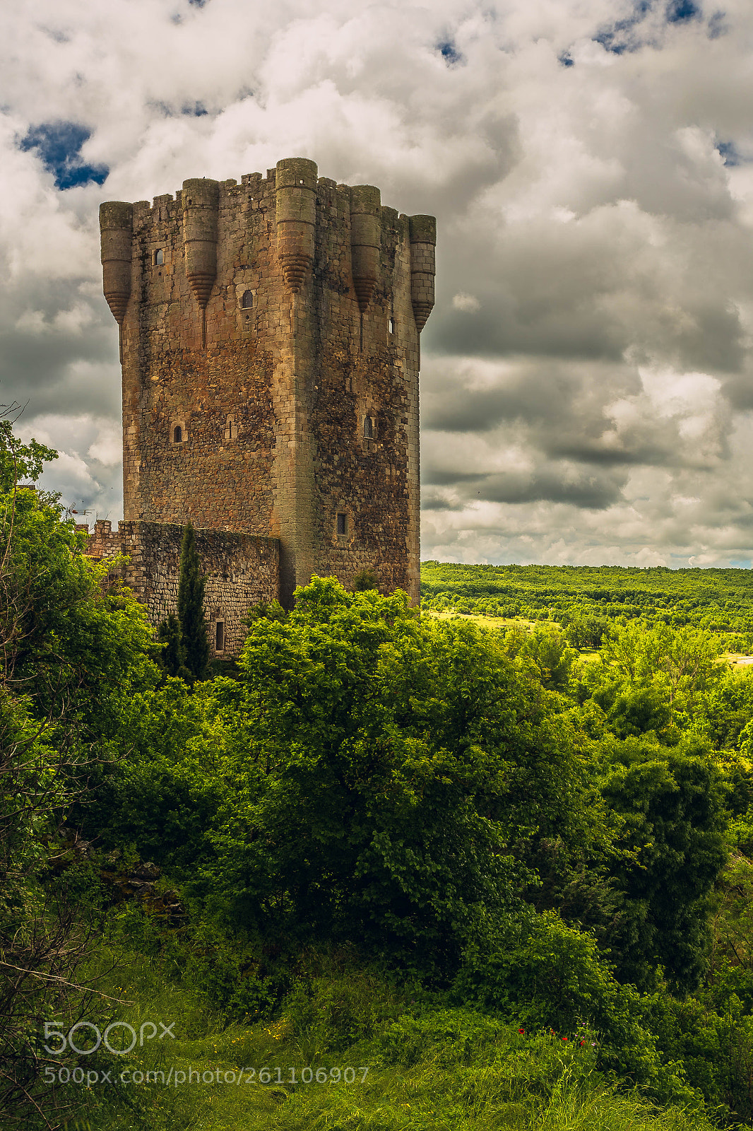 Canon EOS 6D sample photo. Monleon castle photography