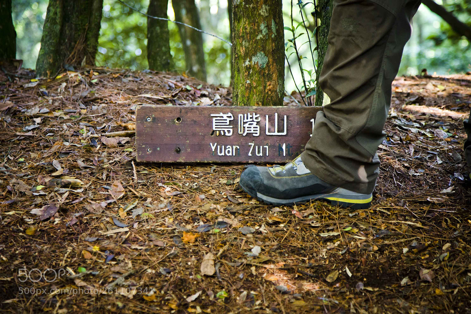 Canon EOS 5D Mark II sample photo. Yuanzuei mt. photography