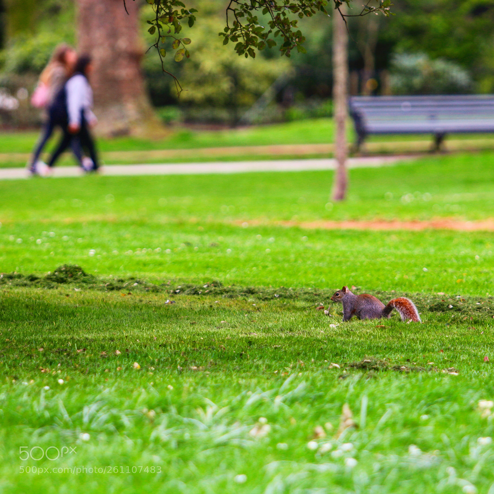 Canon EOS 70D sample photo. Untitled photography