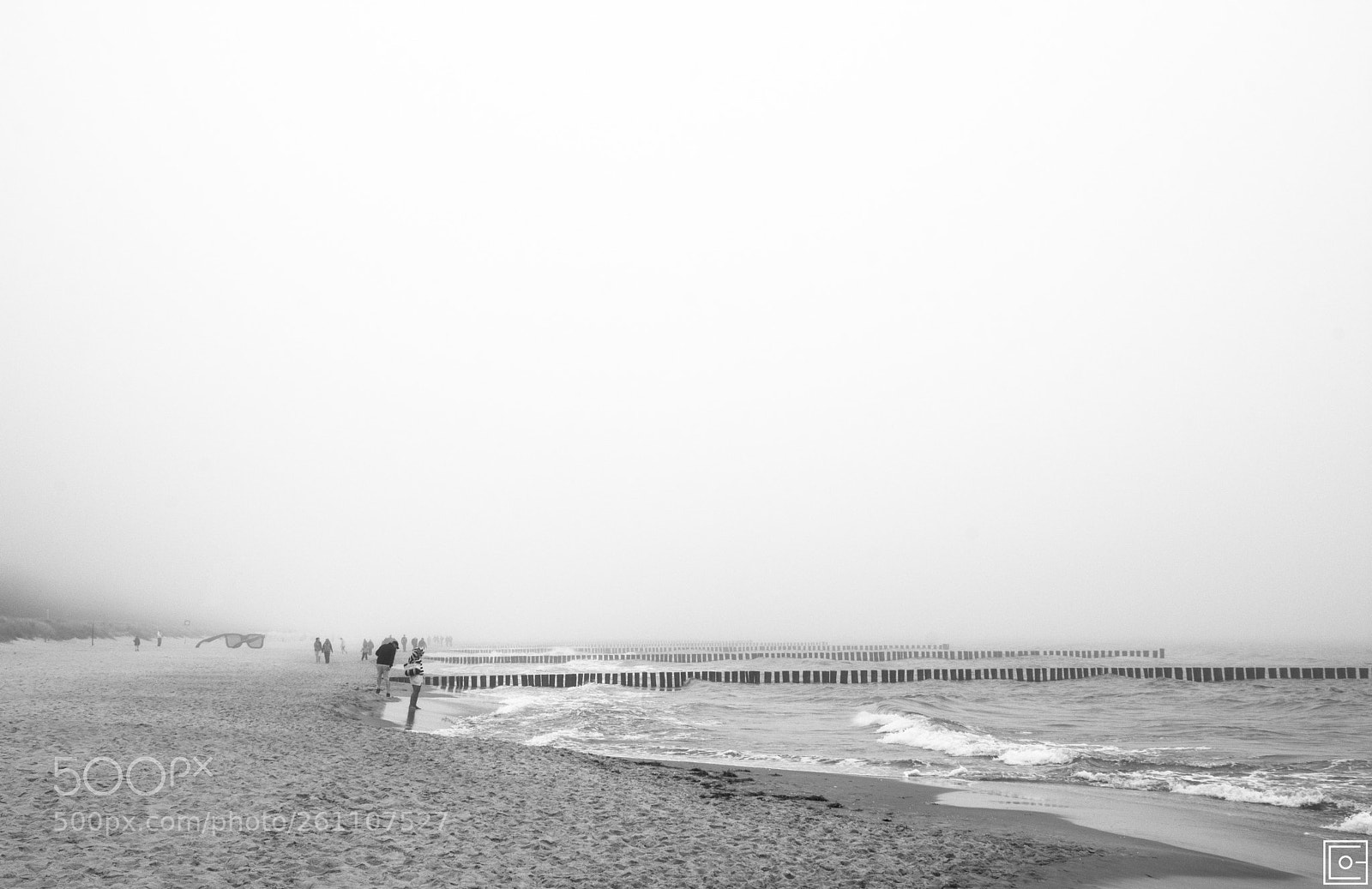 Nikon D7200 sample photo. Mist on the beach photography