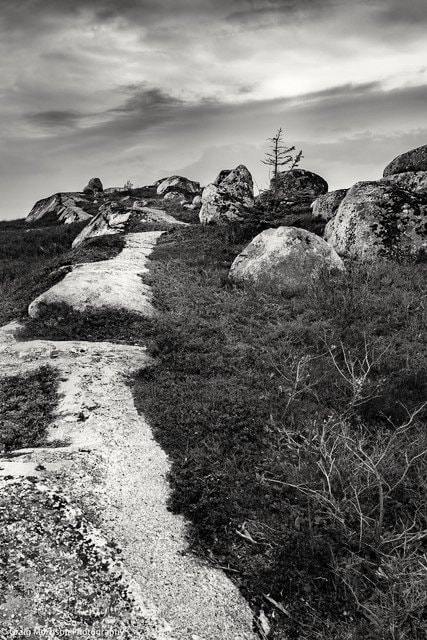 Nikon D7100 sample photo. Peggys cove preservation area photography