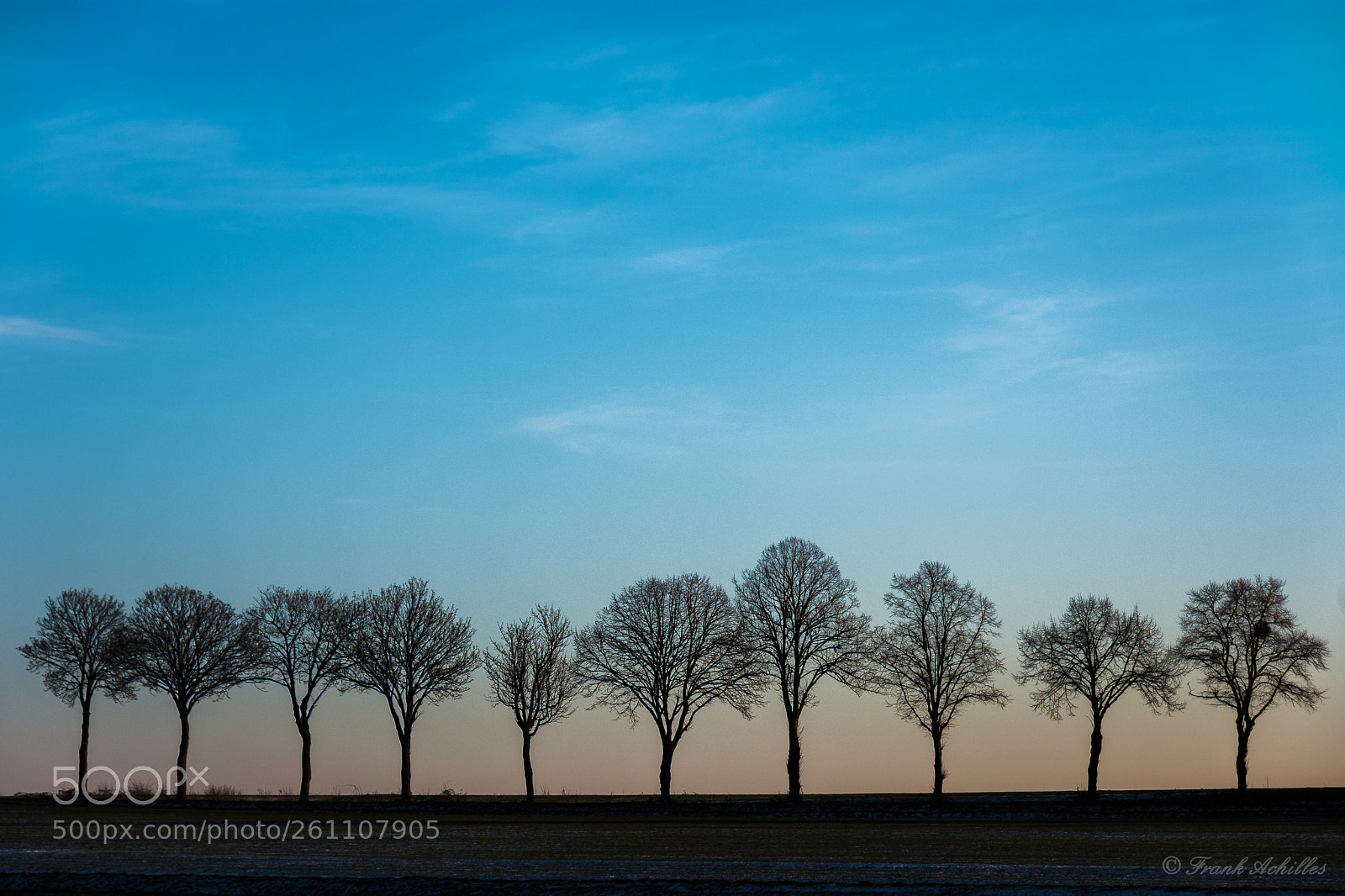 Nikon D7200 sample photo. When it was cold photography