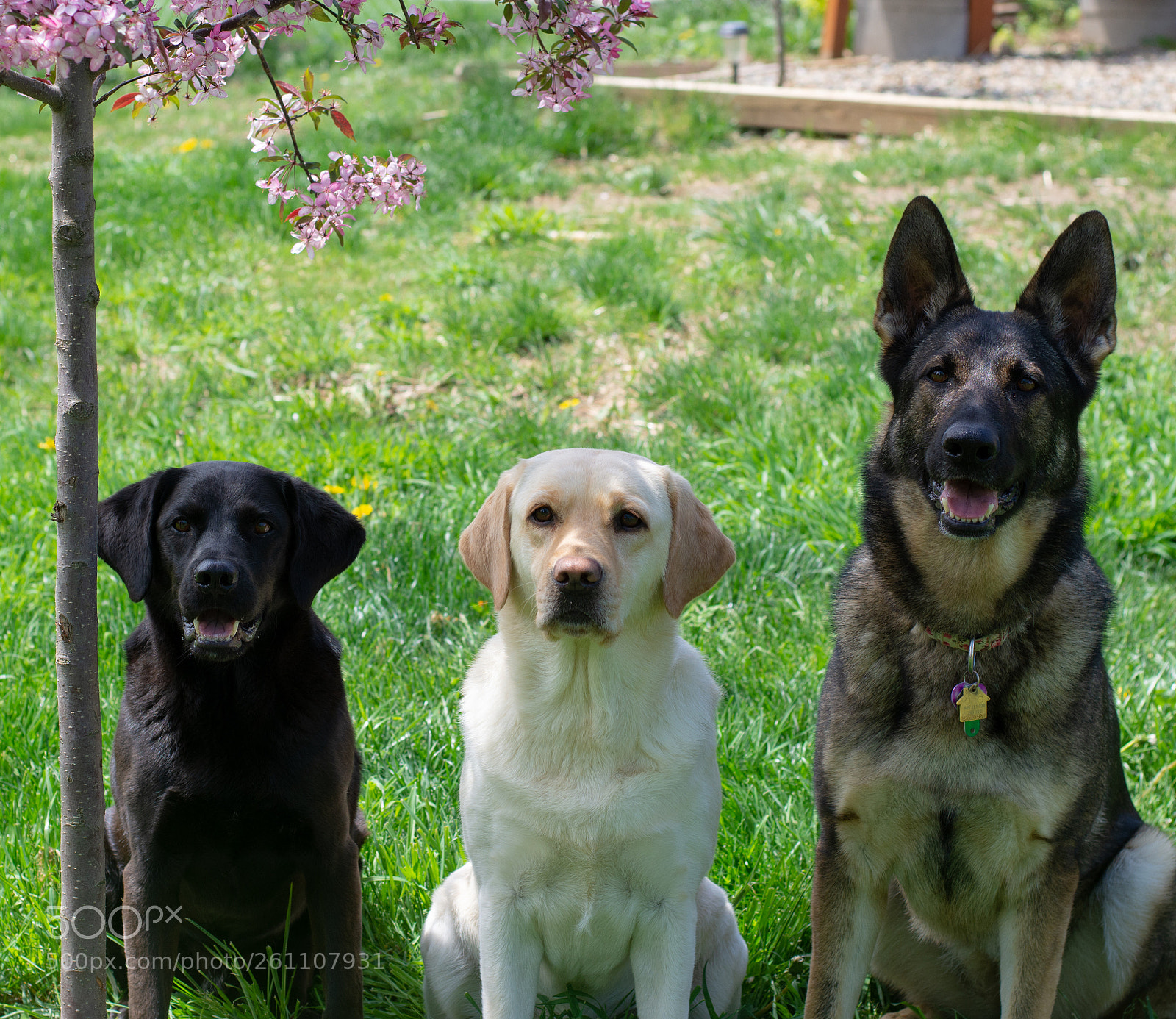 Nikon D7200 sample photo. Group shot 1 photography