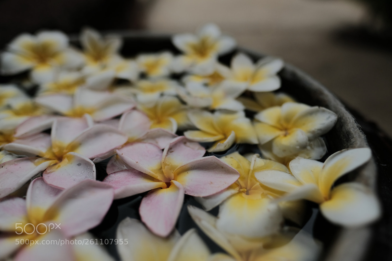 Fujifilm X-Pro2 sample photo. Luang prabang photography