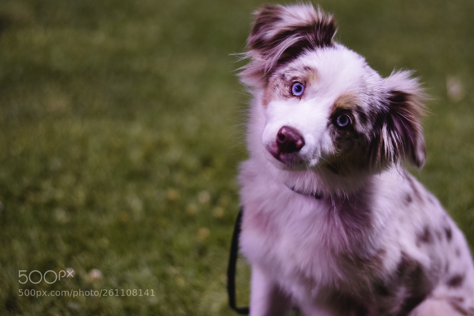 Nikon D3400 sample photo. Untitled photography