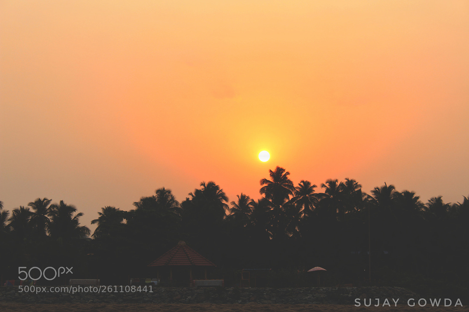 Canon EOS 1300D (EOS Rebel T6 / EOS Kiss X80) sample photo. Early morning, seeing this photography