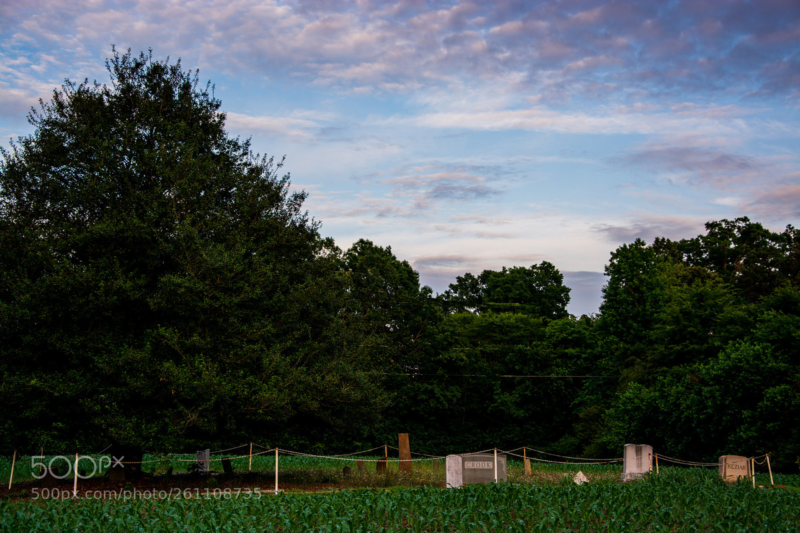 Nikon D5200 sample photo. Rural cemetery photography