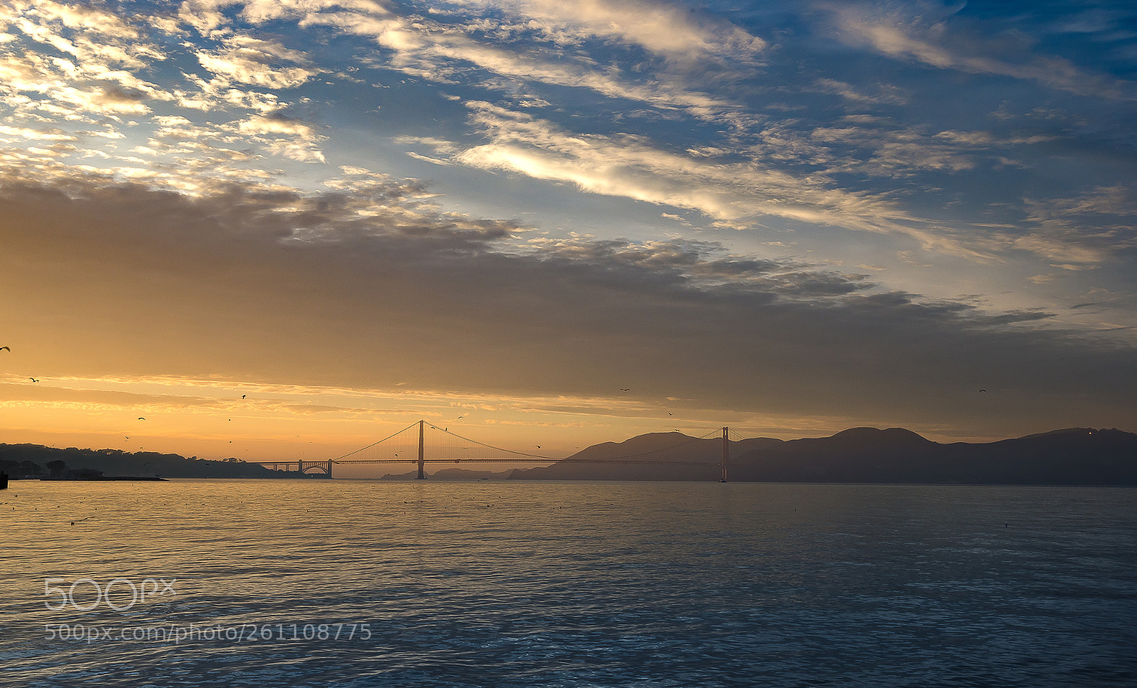 Nikon D610 sample photo. Golden gate sunset photography