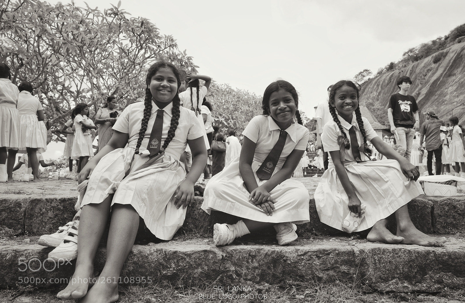 Leica Q (Typ 116) sample photo. Sri lanka photography