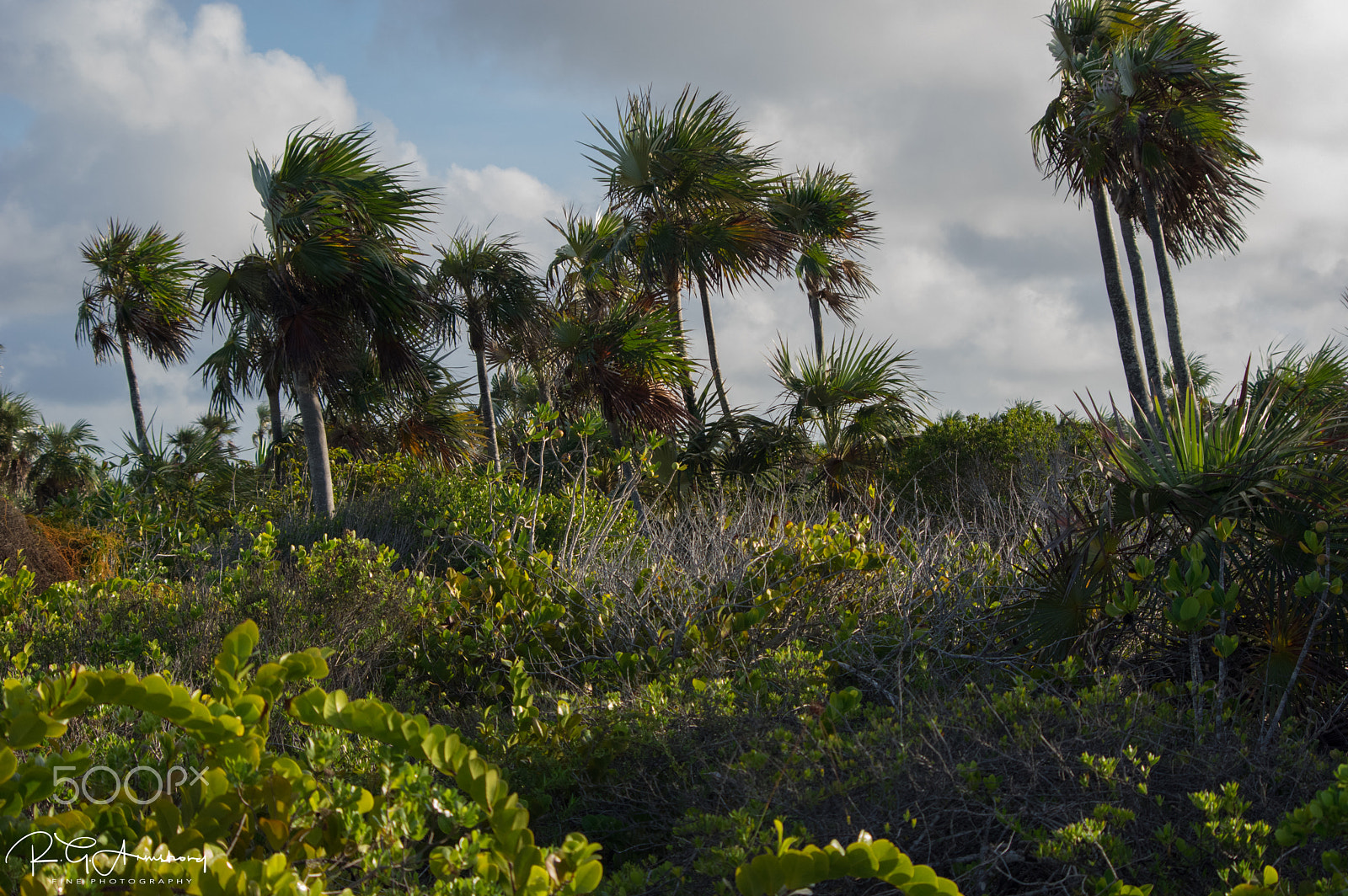 Pentax K-3 II sample photo. Cayo coco landscapes photography