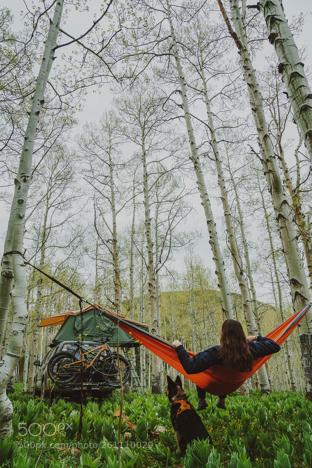 Sony a7R II sample photo. Perfect camping spot photography