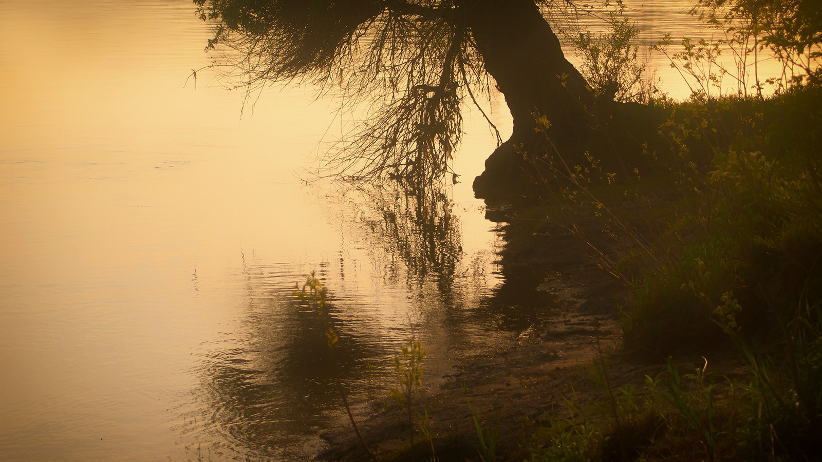 Olympus PEN E-P1 sample photo. Sunset photography