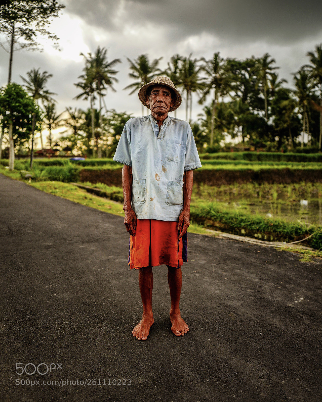 Leica Q (Typ 116) sample photo. Rice field worker photography