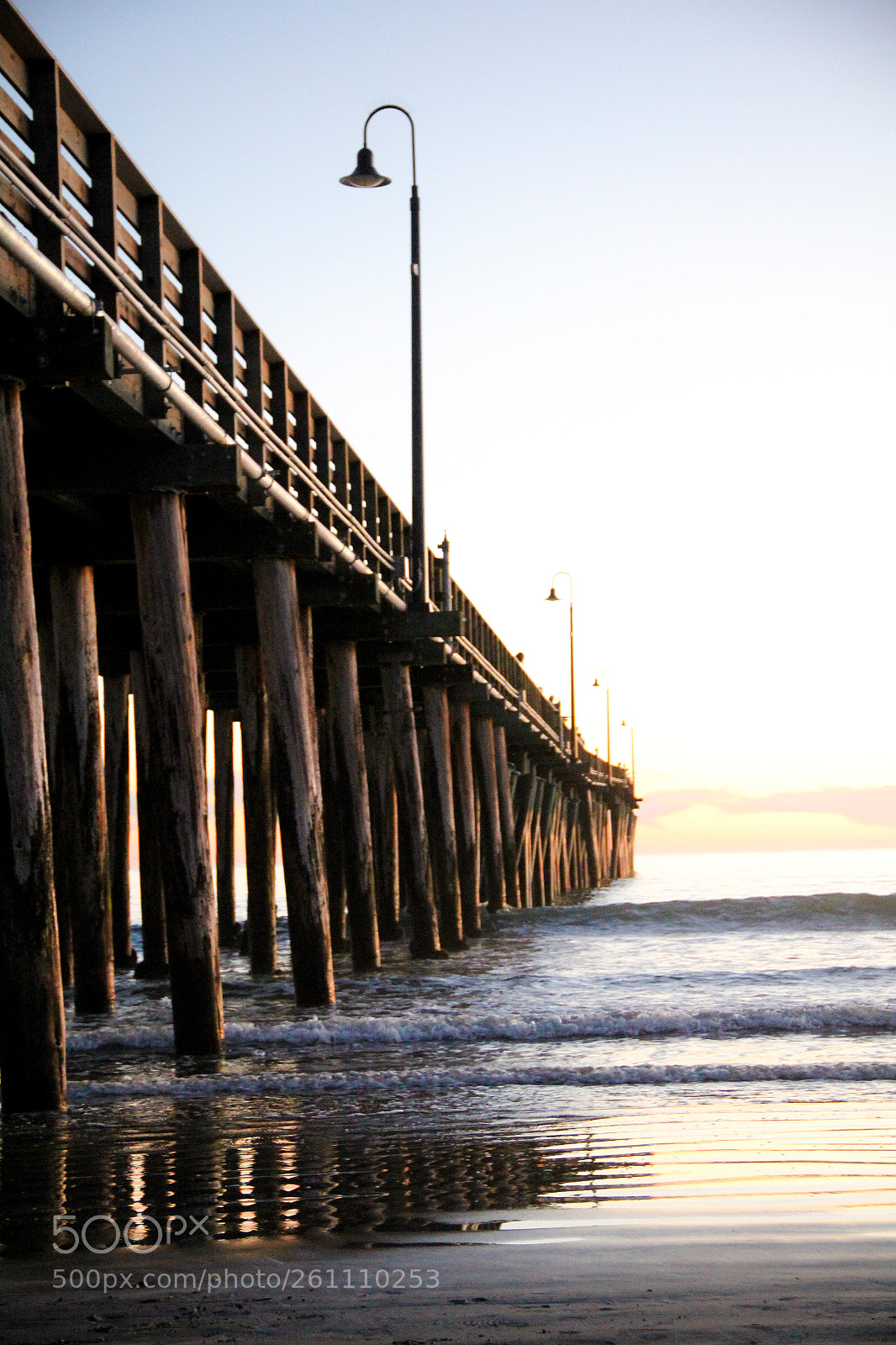 Canon EOS 60D sample photo. Img photography