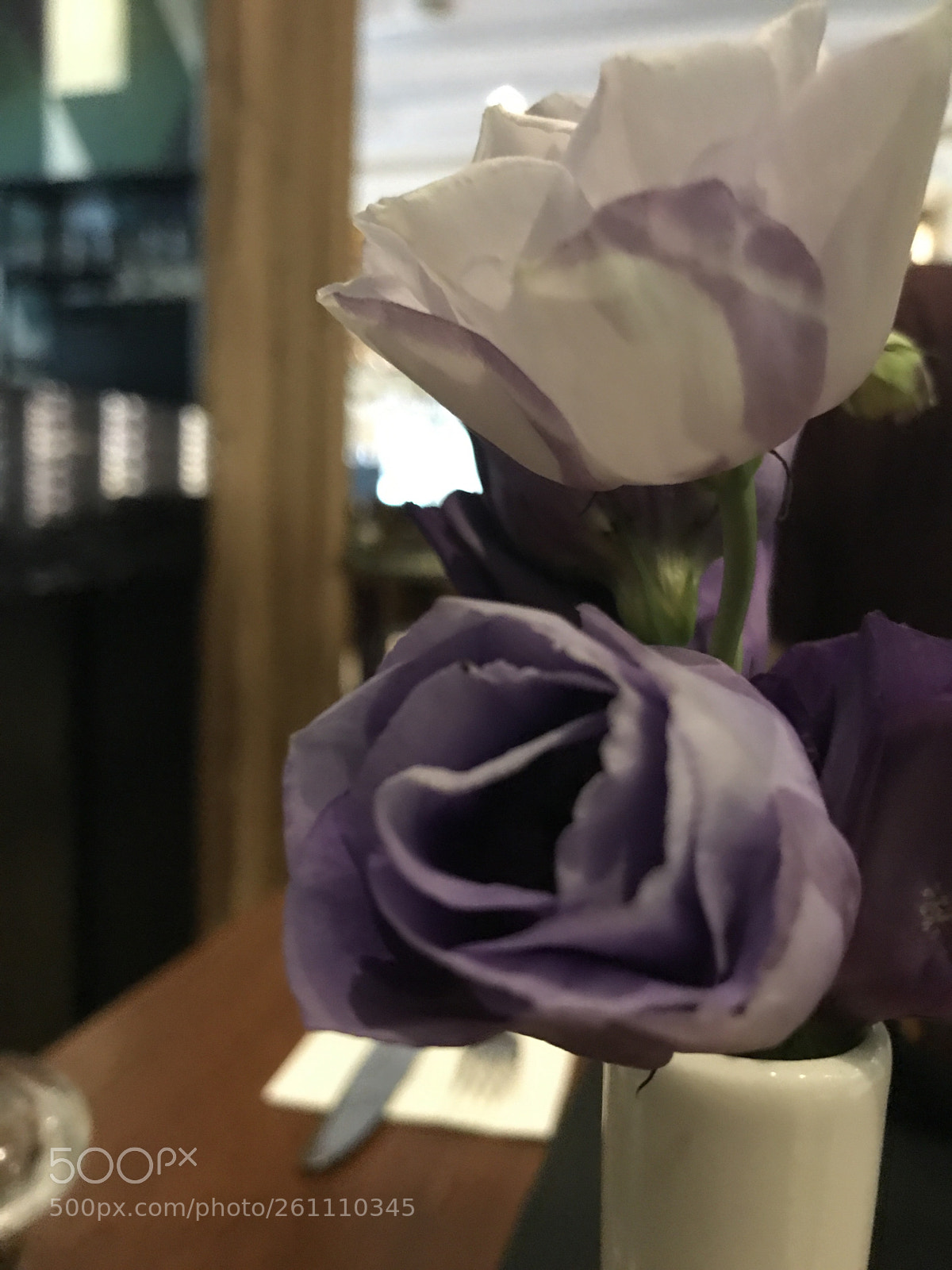 Apple iPhone 7 sample photo. Flowers? photography