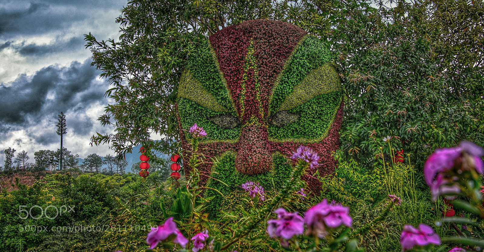 Nikon D610 sample photo. Mask photography