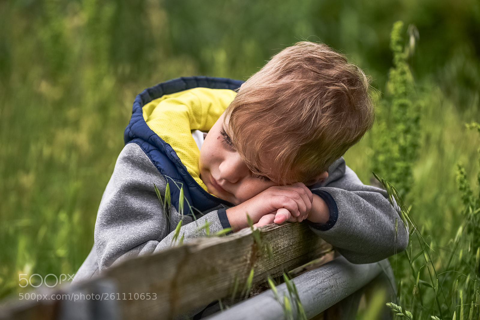Nikon D750 sample photo. Un figlio un figlio photography