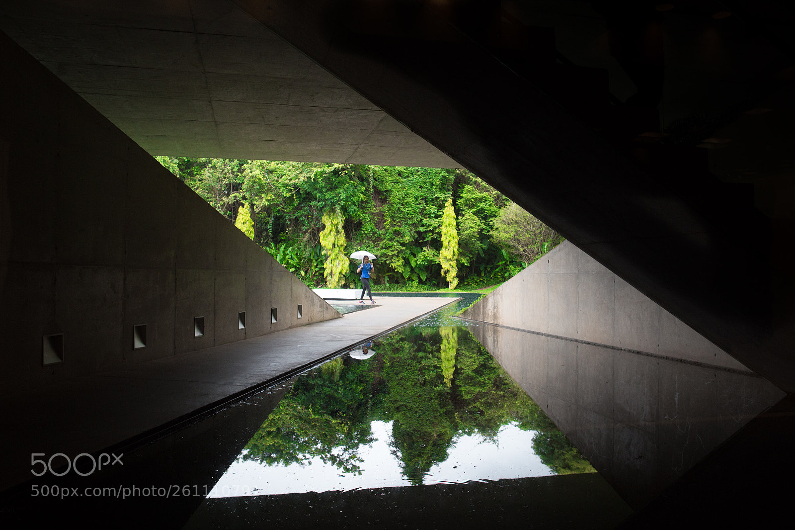 Canon EOS 6D sample photo. Umbrella photography
