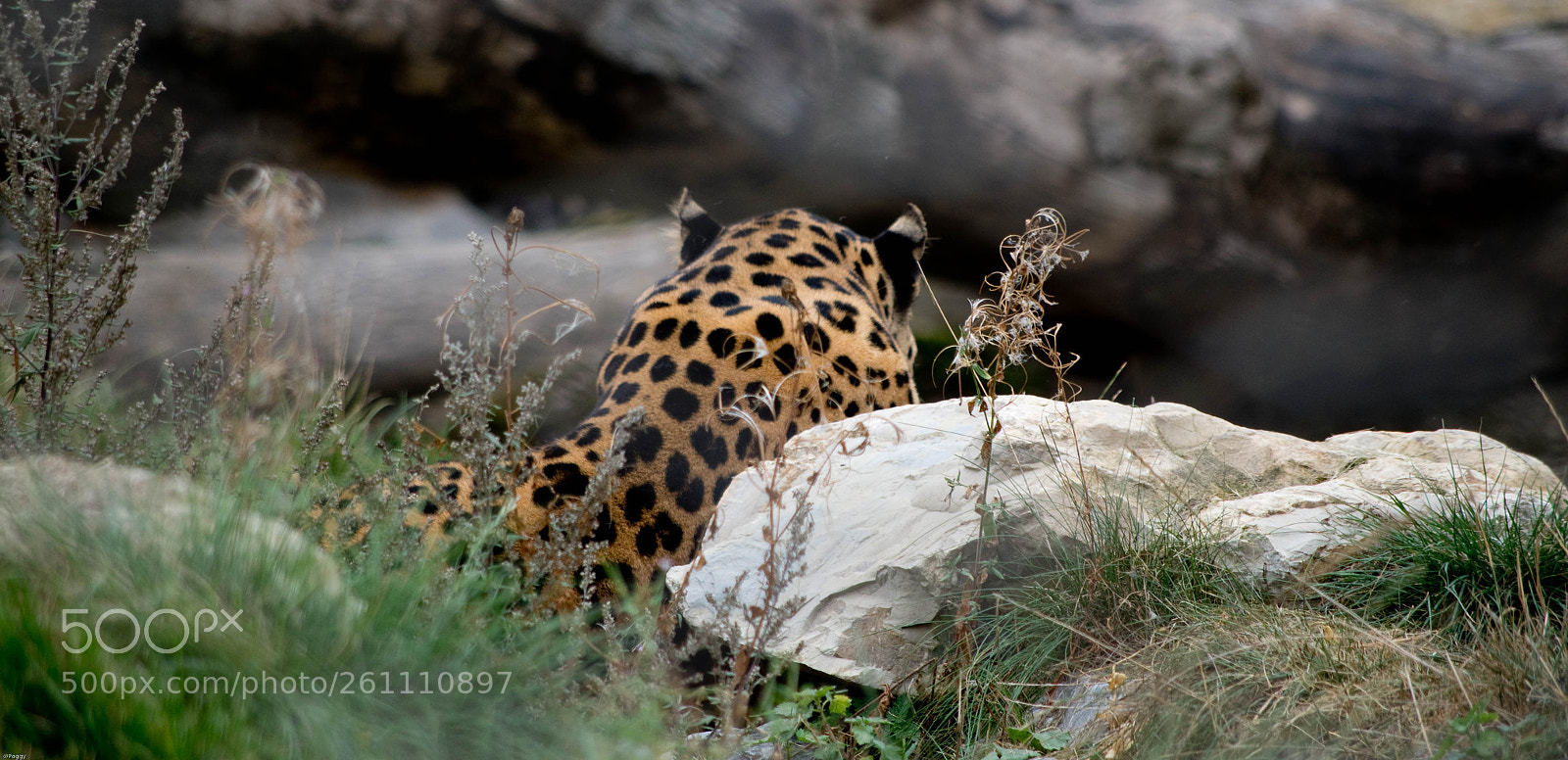 Pentax K-30 sample photo. I don t care photography
