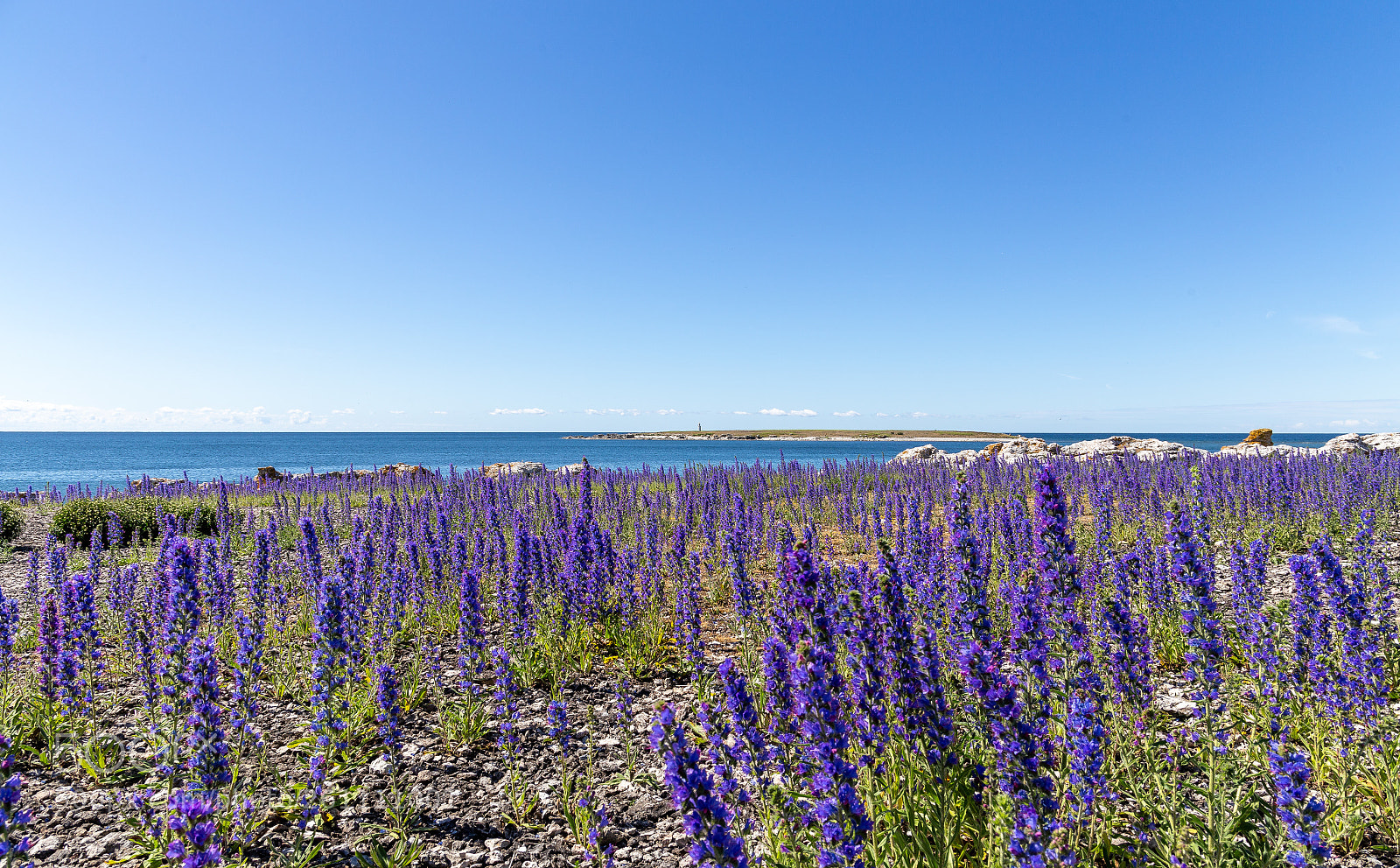 Canon EOS 6D sample photo. Blue and blue photography