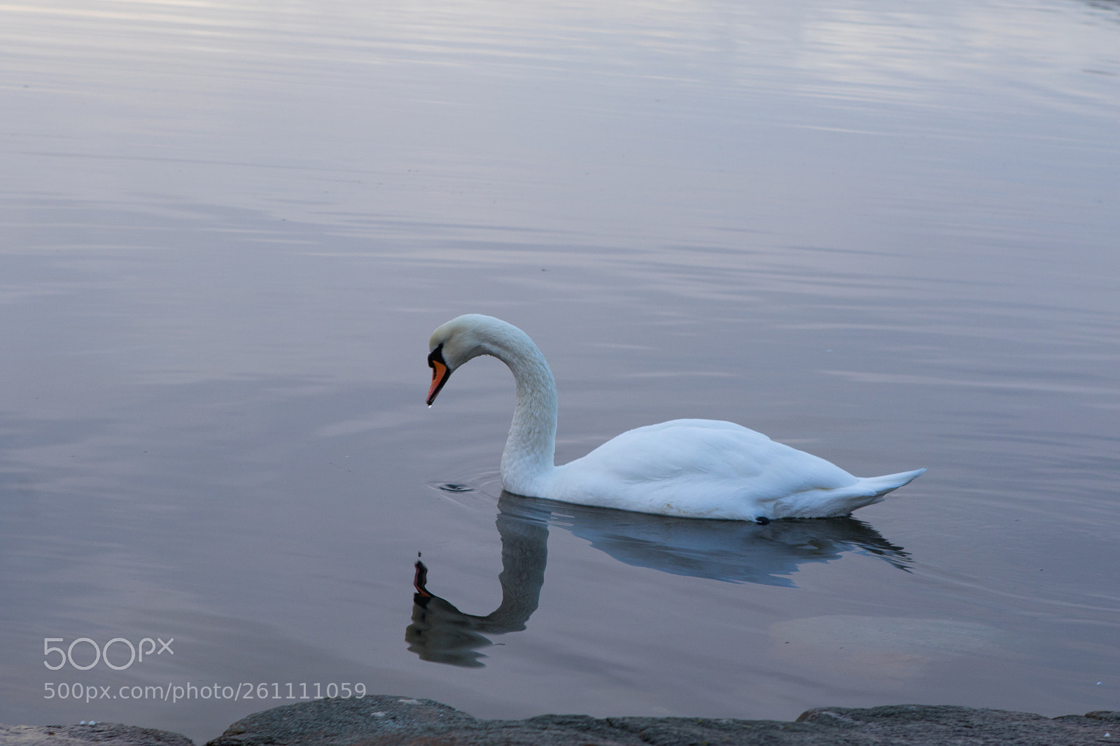 Canon EOS 7D Mark II sample photo. Stora amundön photography