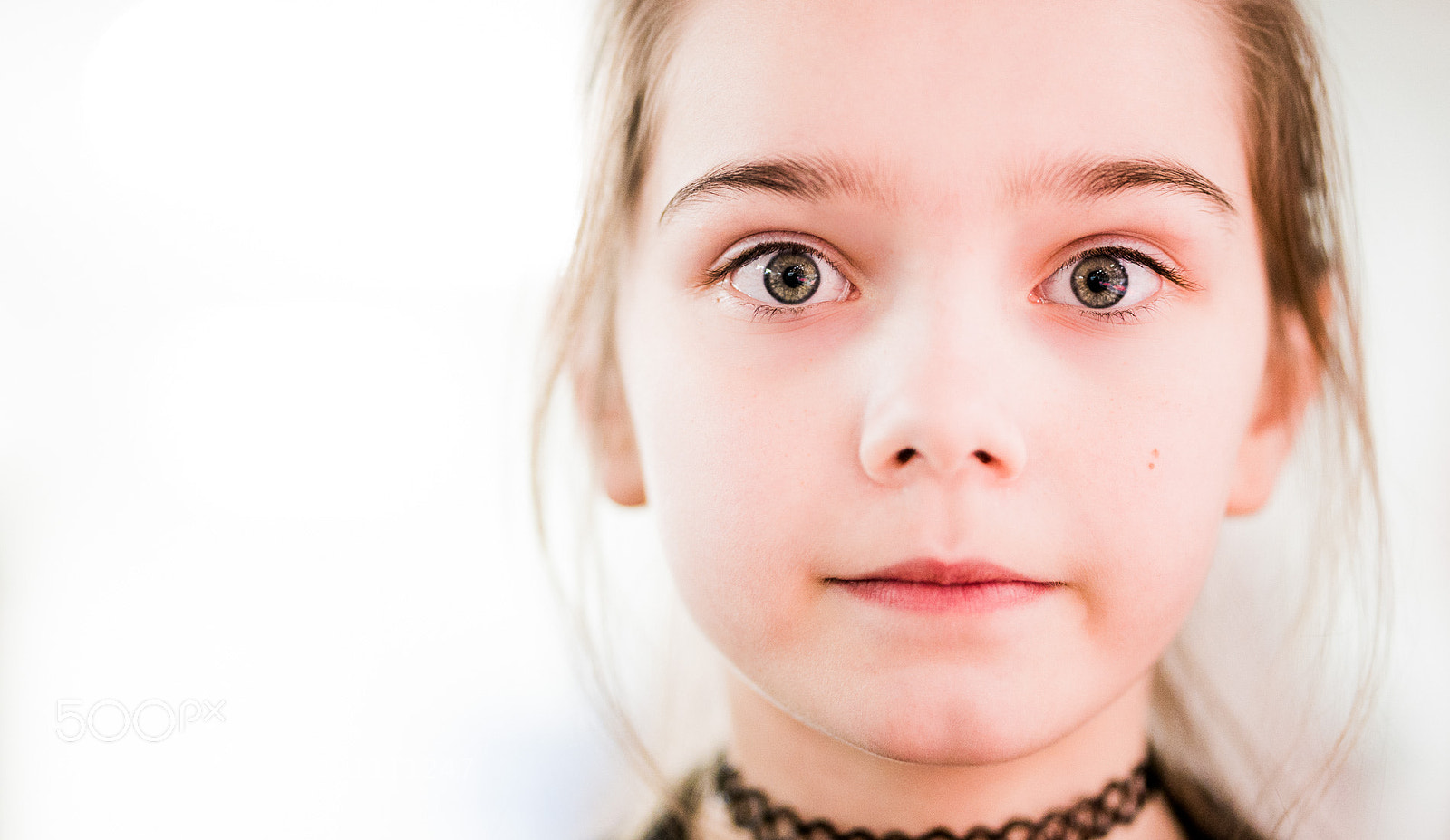 Sony a7R II sample photo. Taika photography